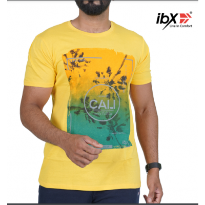 Ibx Men's Regular Fit Round Neck Printed T-shirt Combo